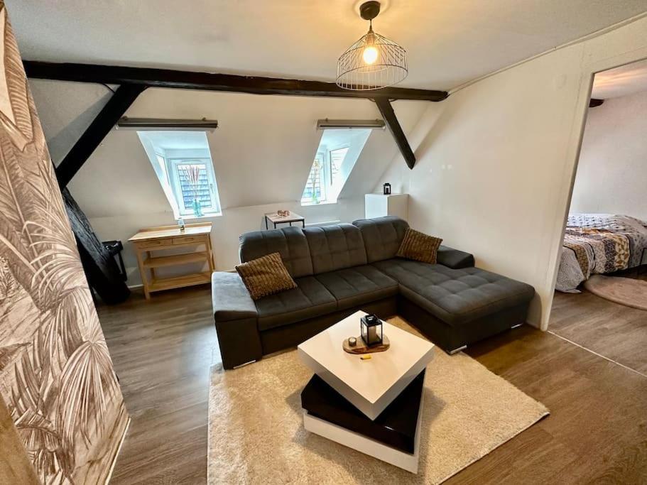 Logement Entier Au Coeur De Estrasburgo Exterior foto